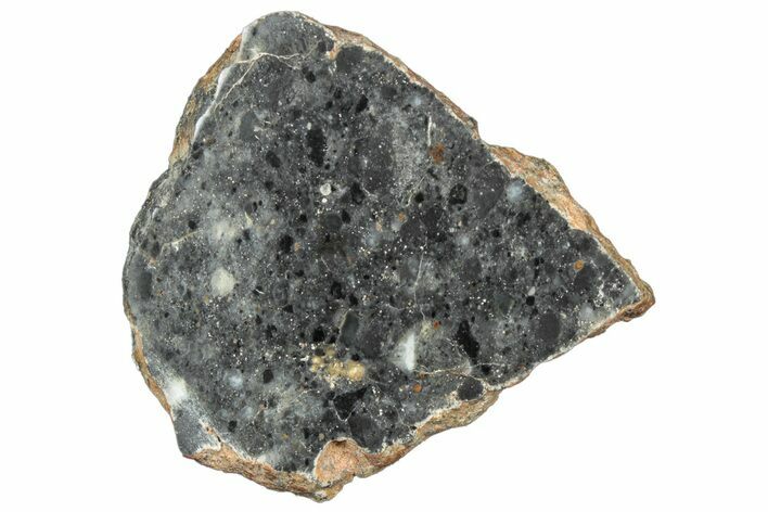 Polished Lunar Meteorite Slice ( g) - NWA #304040